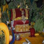 Vraj-Yatra-2014- (2091)